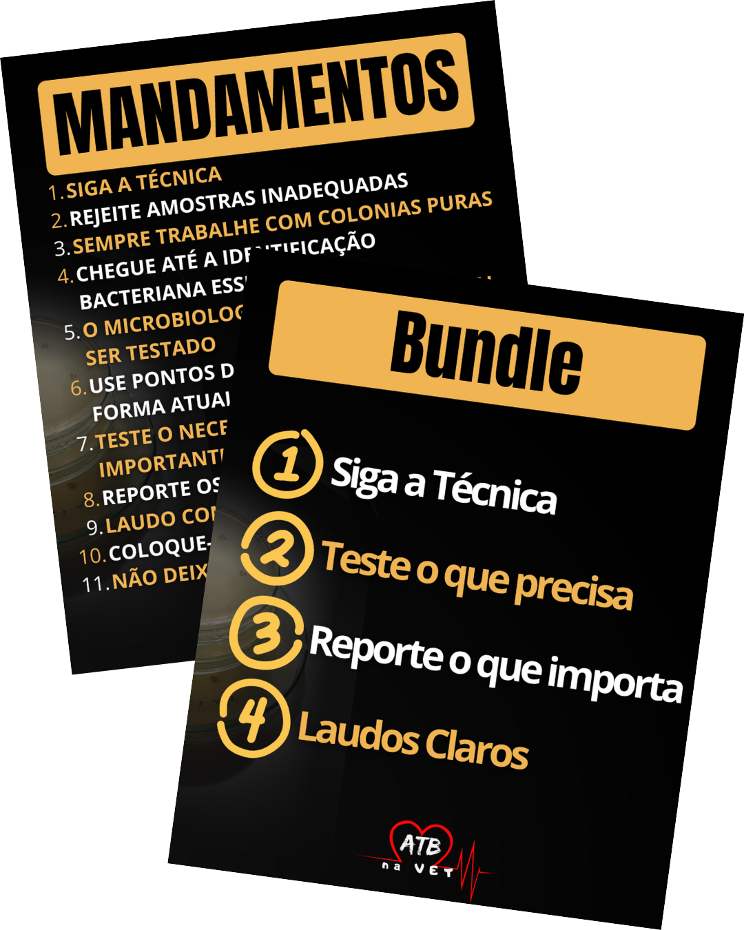 [AULA 2] Mandamentos para Antibiogramas Completos e modernos, com alto valor diagnóstico