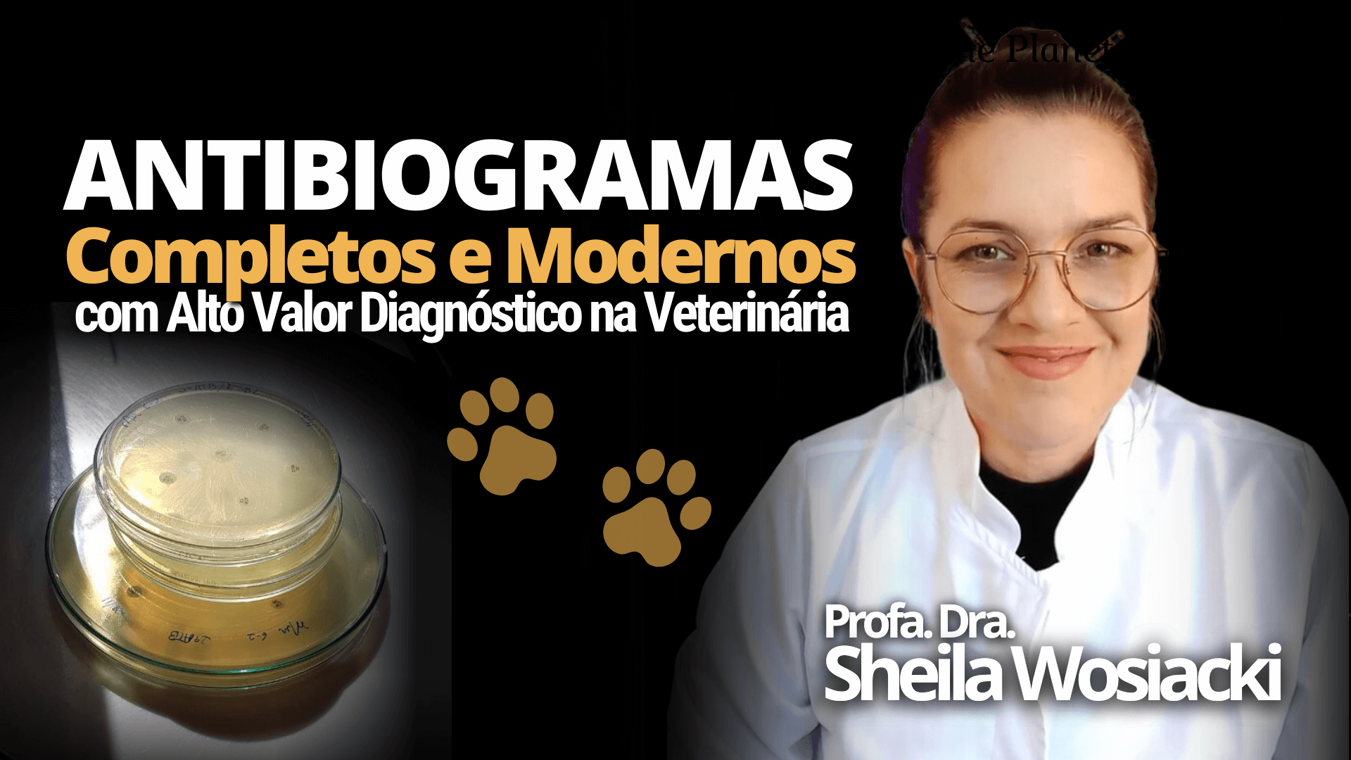 [AULA 1] Bases da Escolha dos Antibióticos a serem testados no Antibiograma Veterinário