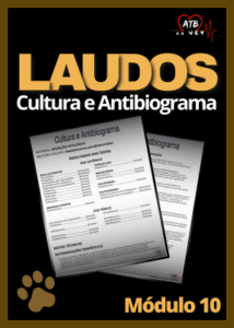 Laudos