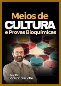 Meios de Cultura