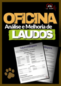 Oficina de Laudos