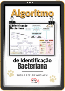 Algoritmo de Identificação
