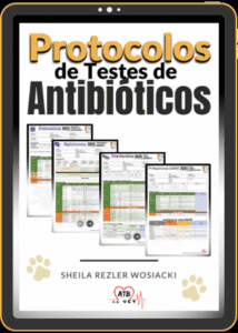Protocolos